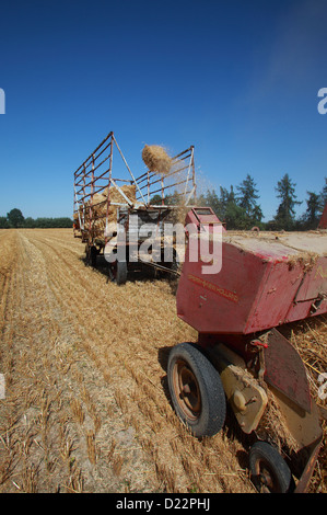 Hamm, Germany, straw harvest with an old baler Stock Photo