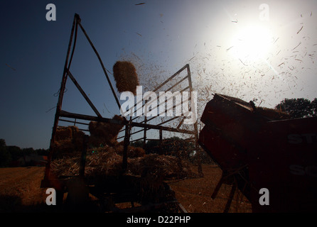 Hamm, Germany, straw harvest with an old baler Stock Photo