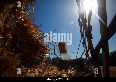 Hamm, Germany, straw harvest with an old baler Stock Photo