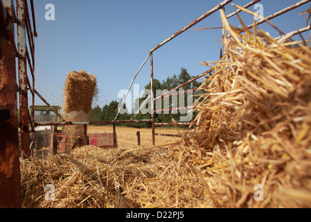 Hamm, Germany, straw harvest with an old baler Stock Photo