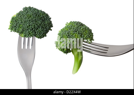 two broccoli florets on forks isolated against white background Stock Photo