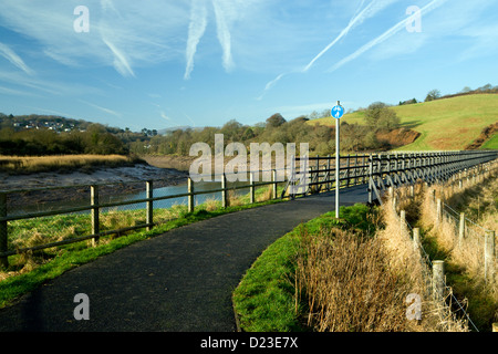 sustrans route 88 cycle path besides river usk between caerleon and newport monmouthshire wales uk Stock Photo