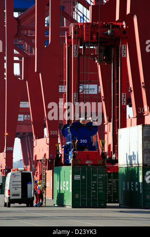 Hamburg, Germany, dockers and straddle among Containerbruecken Stock Photo