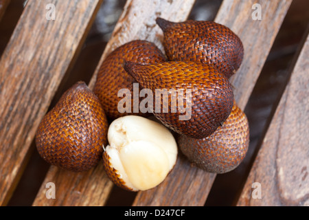 Close up of salak fruit on black volcanic rock with green leaves in background Stock Photo