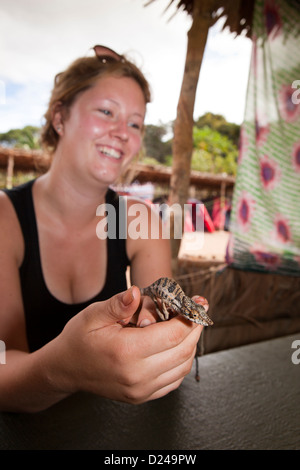 Madagascar, Operation Wallacea, student holding Chameleon Furcifer Angeli in hands Stock Photo