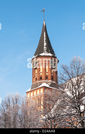 Kant's cathedral in Kaliningrad. Russia Stock Photo