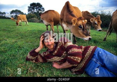 The late organic farmer Mark Purdey with his cattle in Devon, UK. Stock Photo