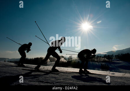 Skiers are seen during the men´s team race of FIS Cross-Country Skiing World Cup 2012-13 in Liberec, Czech Republic, January 13, 2013. (CTK Photo/Radek Petrasek) Stock Photo