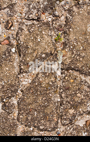 damaged cracked asphalt pattern texture Stock Photo