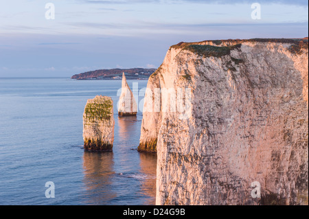 Sunrise at Handfast Point with the Pinnacles the Isle of Purbeck Jurassic Coast Dorset UK Stock Photo