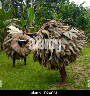 Tubuan Dance With Duk Duk Giant Masks, Rabaul, East New Britain, Papua New Guinea Stock Photo