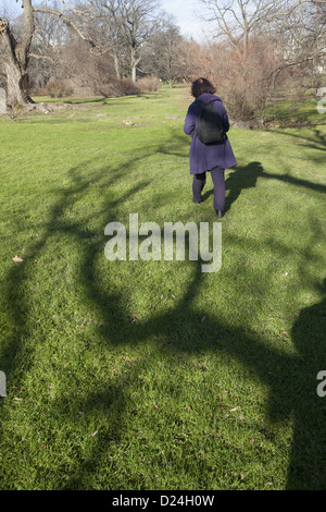 Winter shadows in the Brooklyn Botanic Garden, Brooklyn, NY. Stock Photo