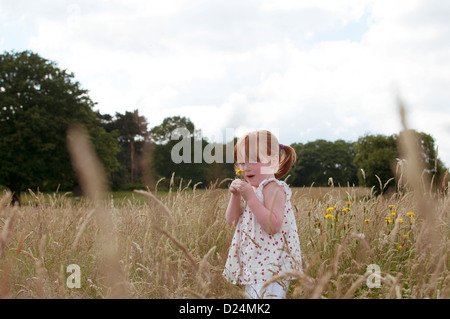 A little girl standing in a field holding a wild flower Stock Photo