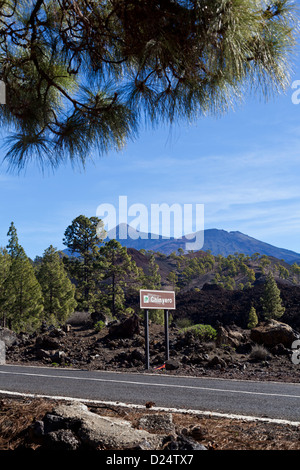 The circular path around the Chinyero volcano, site of the last eruption on Tenerife in 1909, Canary Islands, Spain. Stock Photo