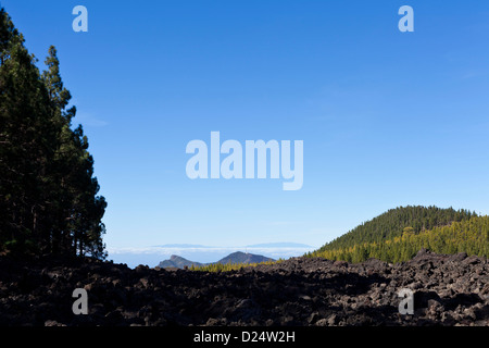 The circular path around the Chinyero volcano, site of the last eruption on Tenerife in 1909, Canary Islands, Spain. Stock Photo