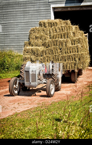 Vintage tractor hauling a wagon load of hay bales. Stock Photo