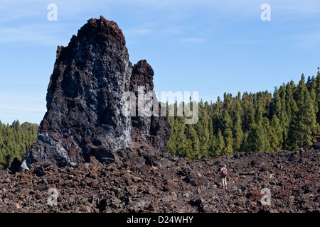 The circular path around the Chinyero volcano, site of the last eruption on Tenerife in 1909, Canary Islands, Spain. Stock Photo