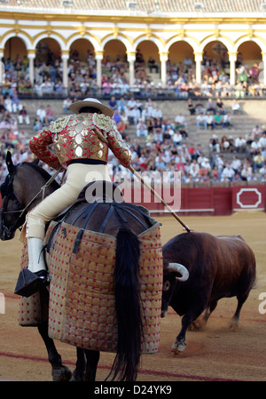 Seville, Spain, a picador is fighting with a bull in the Real Maestranza Stock Photo