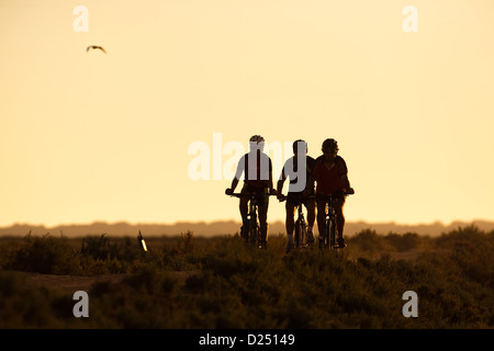 Coto de Donana, Spain, cyclists at sunset in the National Park Stock Photo