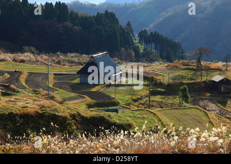 Terraced rice fields in Miyazu, Kyoto Prefecture Stock Photo