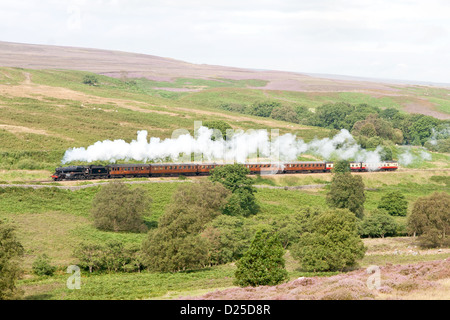 Steam locomotive pulling a passenger train on the North Yorkshire Moors Railway  near Goathland Stock Photo