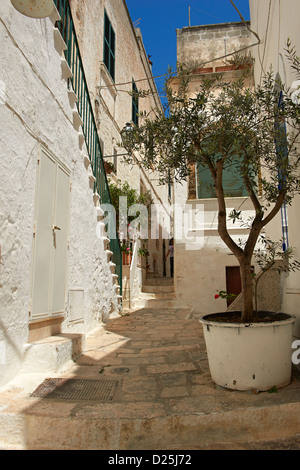 The medieval narrow streets of Ostuni, The White Town, Puglia, Italy. Stock Photo