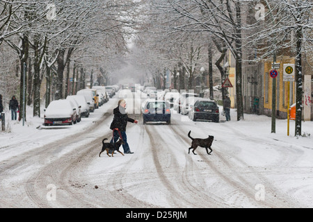 A woman walking her dogs crosses the street during a snowfall in Berlin, Germany Stock Photo