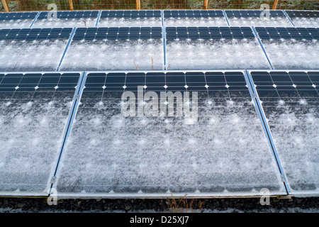 Snow frost on free standing ground mounted solar panels panel  on smallholding in winter on smallholding in countryside West Wales UK   KATHY DEWITT Stock Photo