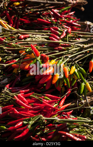 Union Square Greenmarket, NYC Stock Photo