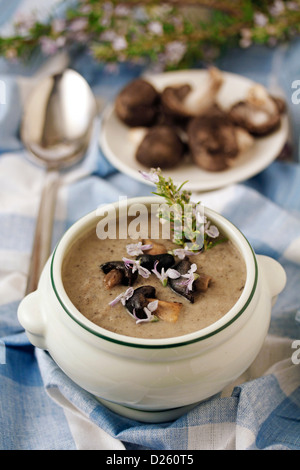 Gray agaric soup (Mushrooms soup) Stock Photo