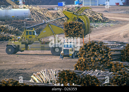 Log truck and loader Stock Photo