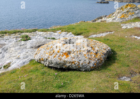 Grindstone above Bwa Gwyn remains of the old China Clay Quarry Rhoscolyn Anglesey Coast Path Wales Cymru UK GB Stock Photo