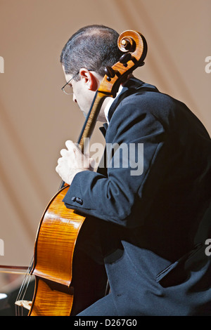 Cello player, PR Symphony Orchestra, Luis A. Ferre Center of the Performing Arts (Bellas Artes), San Juan, Puerto Rico Stock Photo
