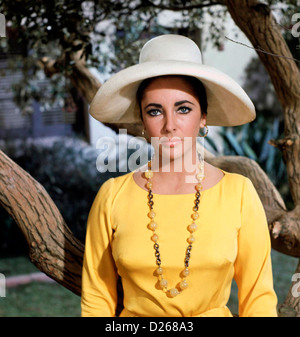 THE SANDPIPER 1965 MGM film with Elizabeth Taylor Stock Photo