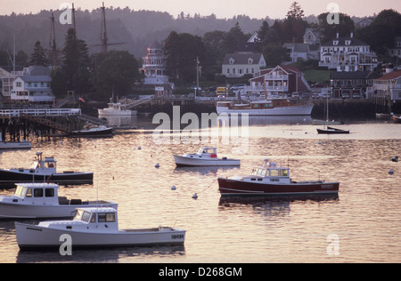 Blackjack sportfishing charters boothbay harbor me maine