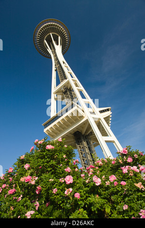 PINK CLIMBING ROSES SPACE NEEDLE TOWER (©JOHN GRAHAM & CO 1961) SEATTLE WASHINGTON STATE USA Stock Photo