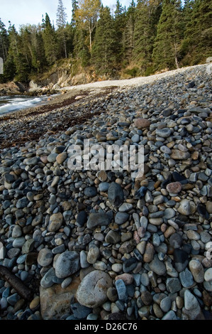 Little Hunters Beach, Acadia NP Stock Photo