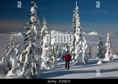 Cross-country skier gliding pass snow covered trees at the summit of Amabilis Mountain in the Okanogan-Wenatchee National Forest Stock Photo