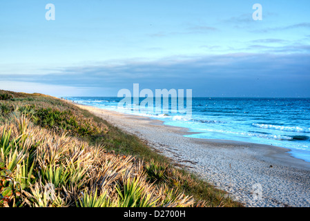 Canaveral National Seashore in the Early Morning. Stock Photo