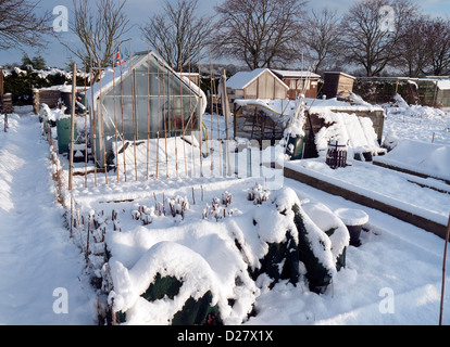 snow covered allotments in winter, norfolk, england Stock Photo