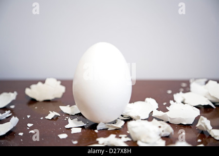 Egg Surrounded by Broken Shells Stock Photo