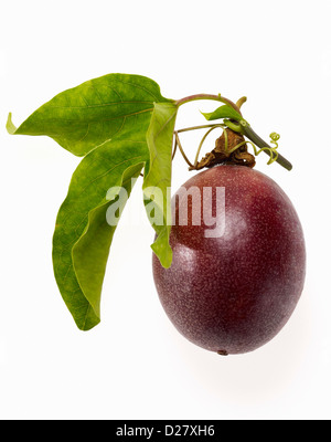 Whole Passion Fruit With Green Leaves on White Background Stock Photo