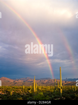 A beautiful double rainbow in the Sonoran Desert east of Fountain Hills ...