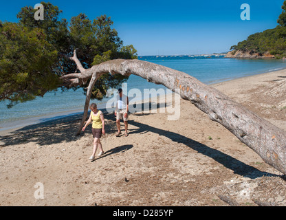 Plage du Pellegrin, a secluded beach near Bormes-les-Mimosas, Var, Provence, France Stock Photo