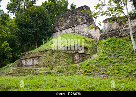 Temples in Tikal National Park (Parque Nacional Tikal) UNESCO World Heritage Site, Guatemala. Stock Photo