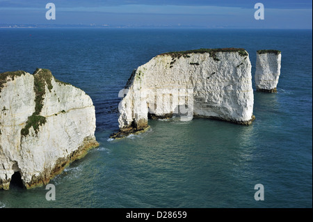 The chalk sea stacks Old Harry Rocks at Handfast Point on the Isle of Purbeck along the Jurassic Coast in Dorset, England, UK