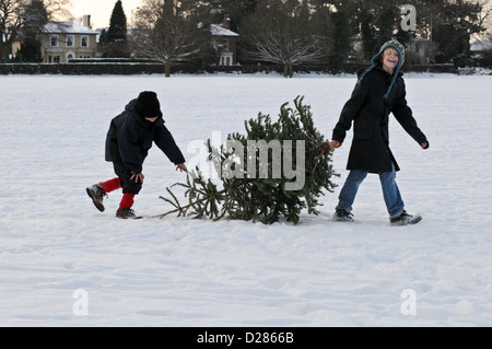 Two young happy smiling boys wrapped up warm carry a Christmas tree in the thick snow across a woodland park Stock Photo