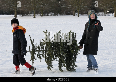 Two young happy smiling boys wrapped up warm carry a Christmas tree in the thick snow across a woodland park Stock Photo