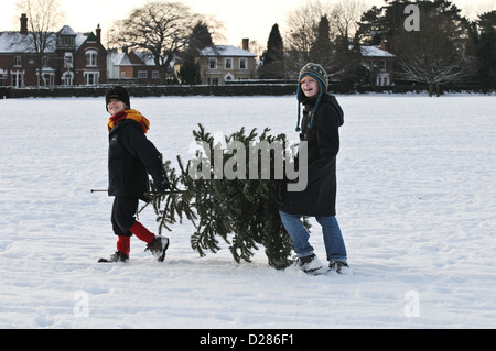 Two young happy smiling boys carry a Christmas tree in the thick snow across a park with Victorian houses in the background Stock Photo