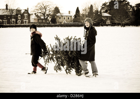 Two young happy smiling boys carry a Christmas tree in the thick snow across a park with Victorian houses in the background Stock Photo